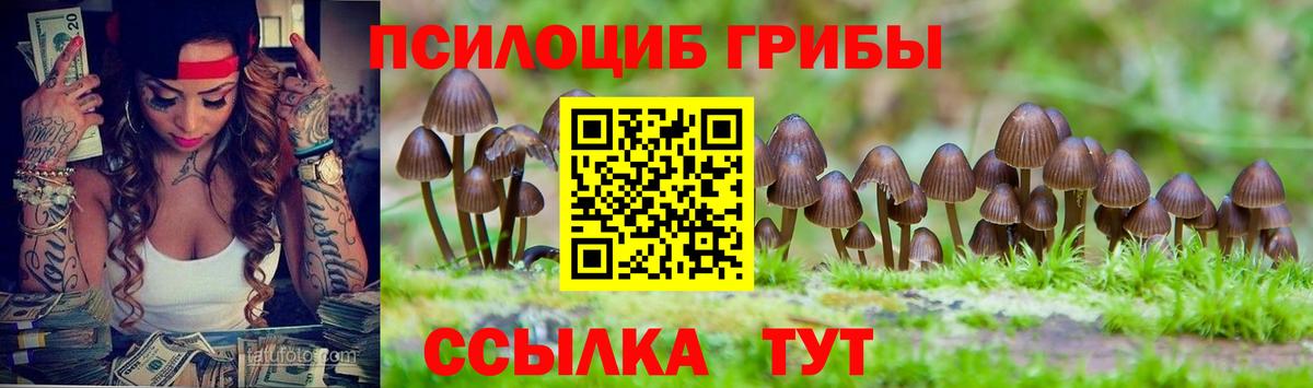 Псилоцибиновые грибы мицелий  Псилоцибиновые грибы GOLDEN TEACHER  Уварово  Вход с VPN 